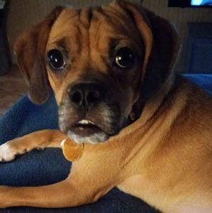 Meet your Posher, Joan